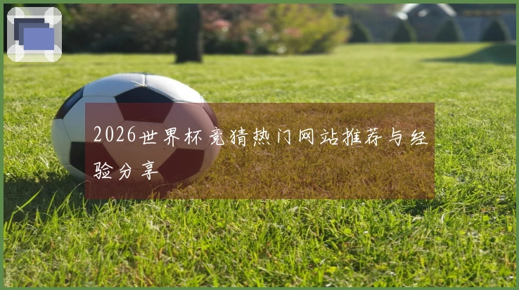 2026世界杯竞猜热门网站推荐与经验分享