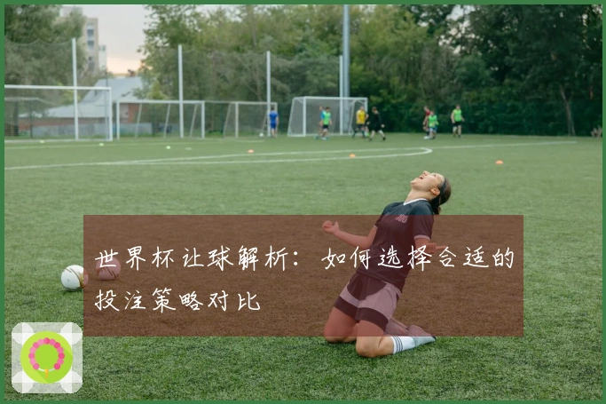 世界杯让球解析：如何选择合适的投注策略对比