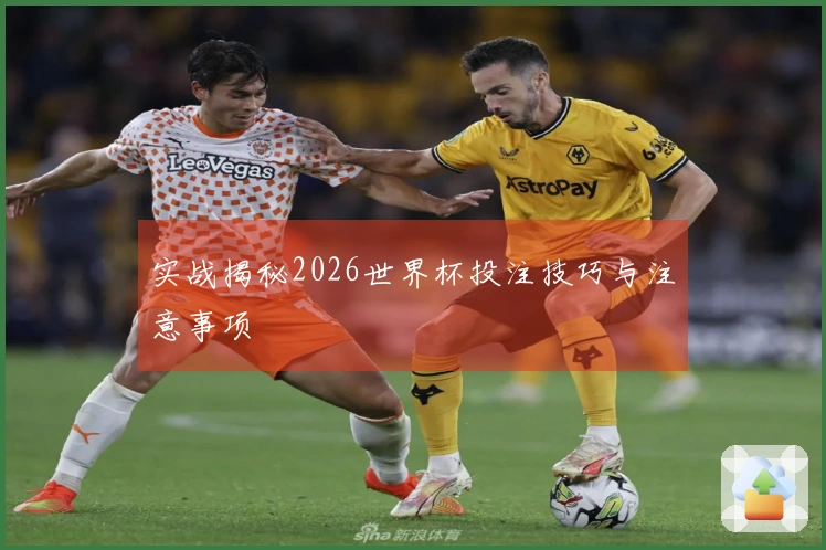 实战揭秘2026世界杯投注技巧与注意事项