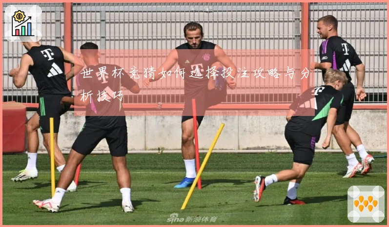 世界杯竞猜如何选择投注攻略与分析技巧