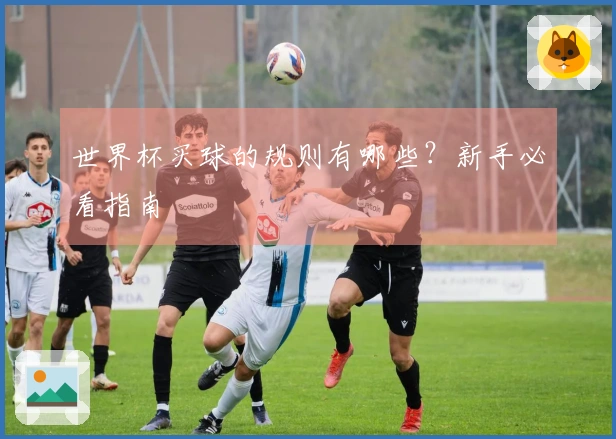 世界杯买球的规则有哪些？新手必看指南