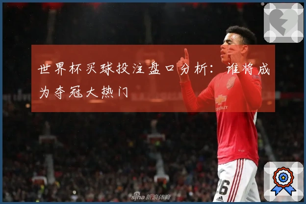 世界杯买球投注盘口分析：谁将成为夺冠大热门
